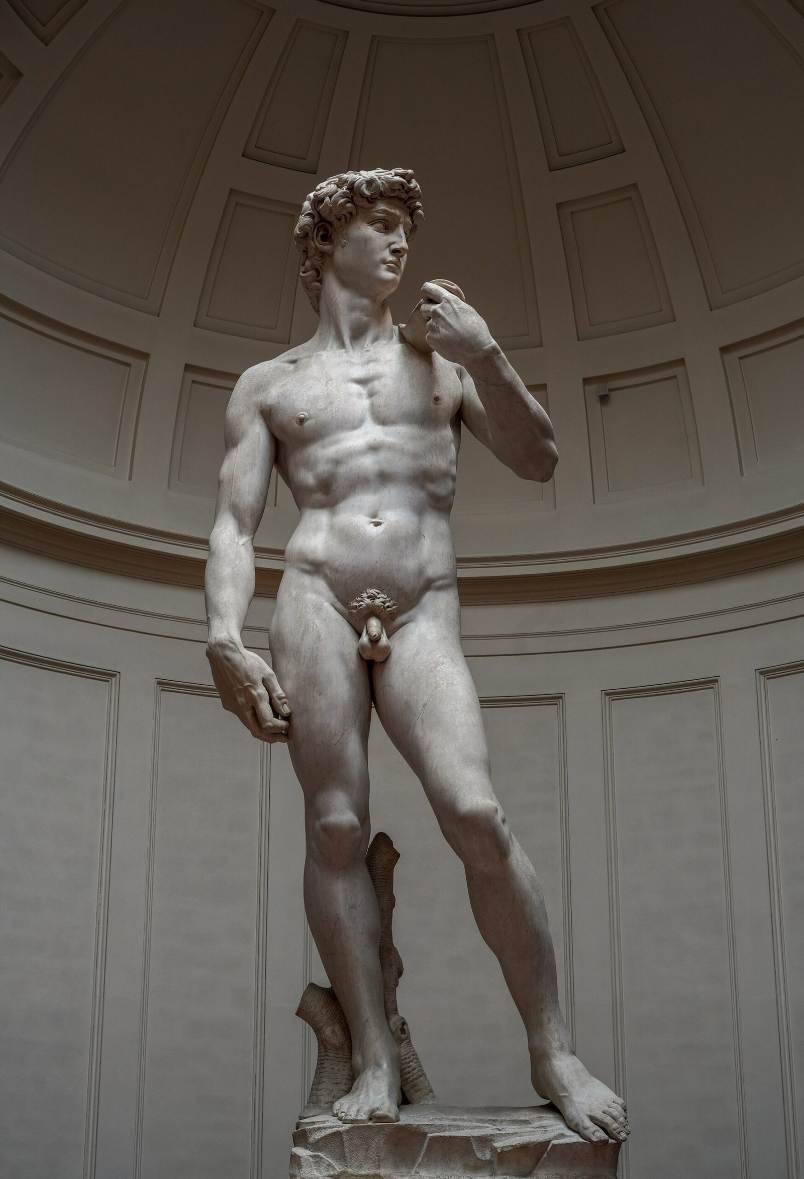 Michelangelos David: Fünf Meter Kunst aus einem Marmorblock