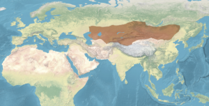 The Göktürks: The First State to Bear the Name ‘Turk’