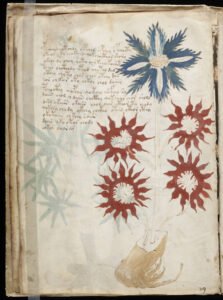 The Voynich Manuscript: The Book No One Can Read