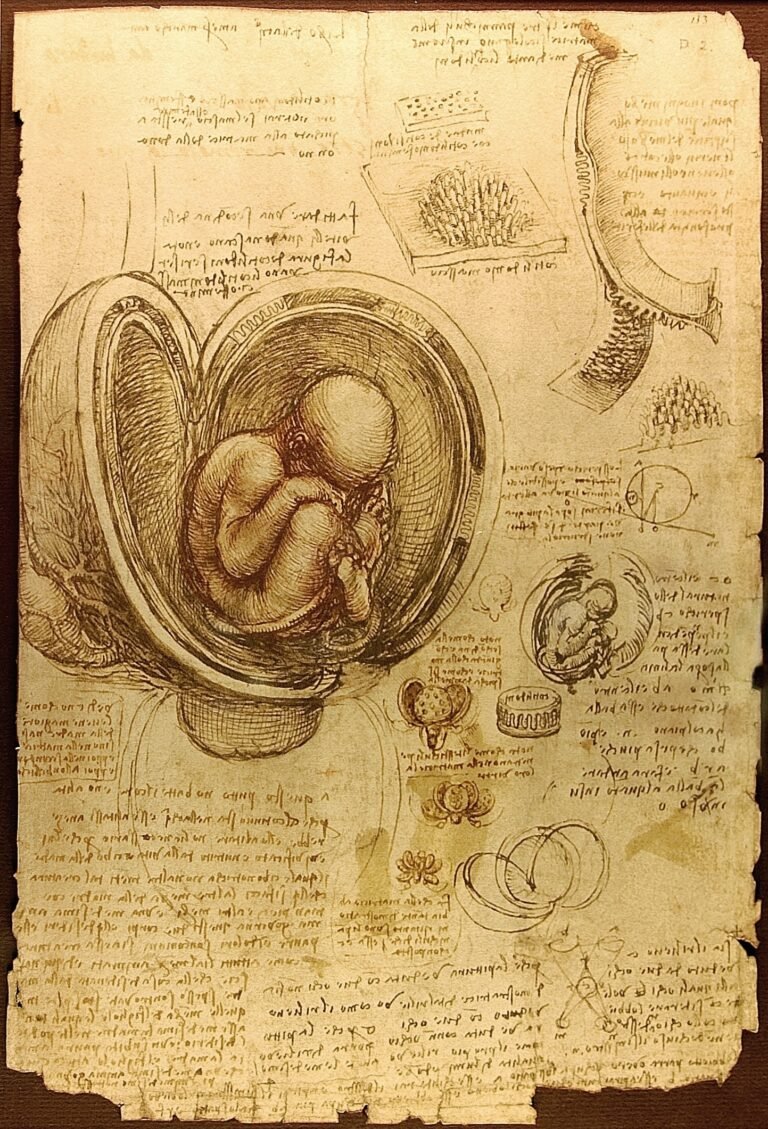 Wer war Leonardo da Vinci? Flug, Anatomie und Notizbücher