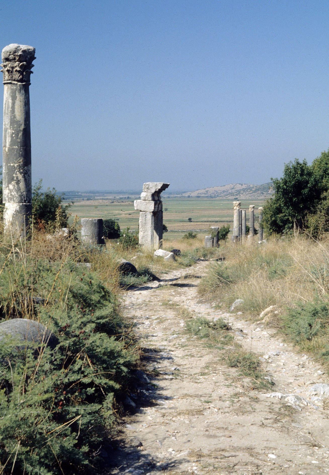 History of Osmaniye and the origin of its name