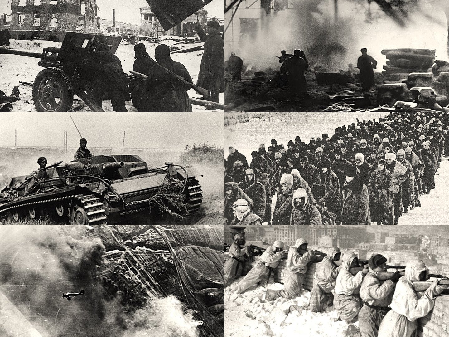 Schlacht von Stalingrad: Datum, Karte, Verluste und Ausgang