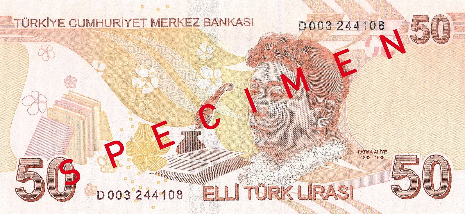 Fatma Aliye: Türkiye'nin ilk kadın romancısı neden 50 liranın üstündeydi