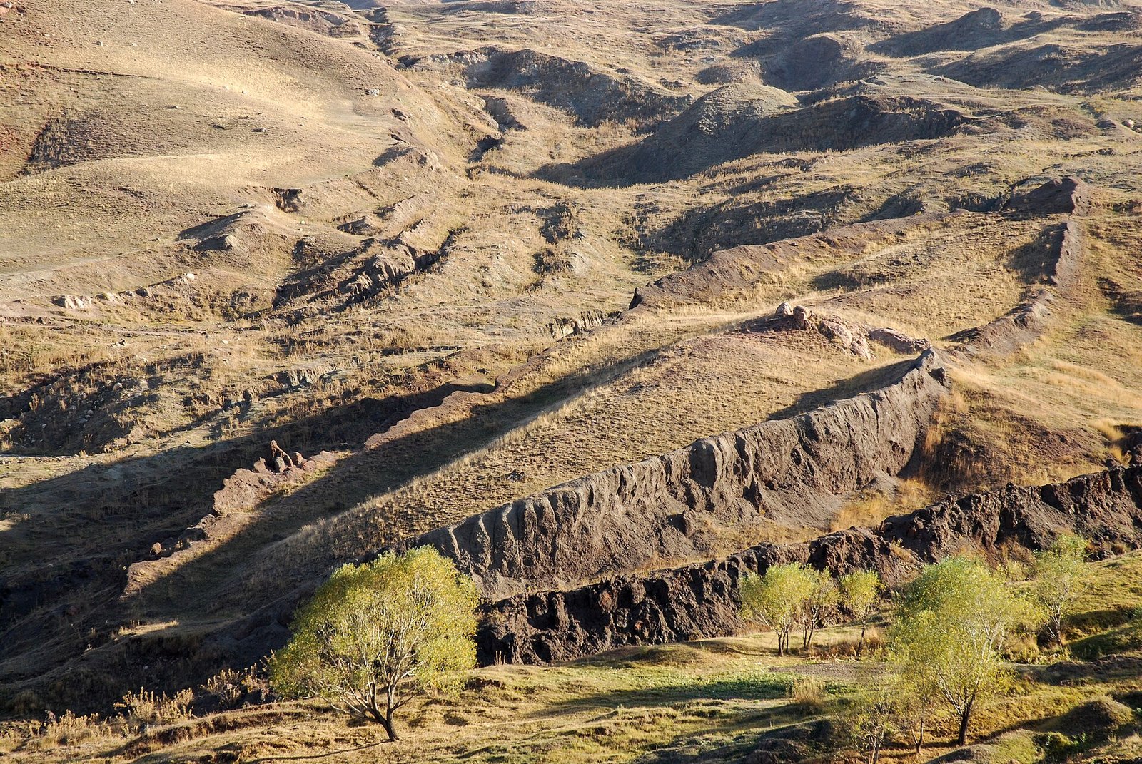 Arche Noah auf dem Ararat? Behauptungen und Forschung